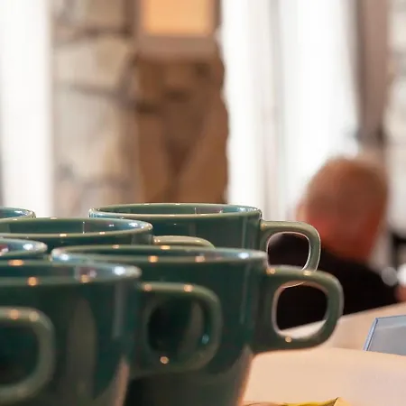 Platan Garden & - Volt Platan