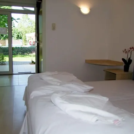 Platan Garden & - Volt Platan