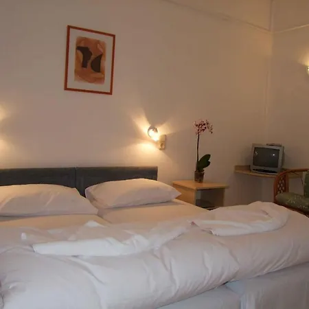 Platan Garden & - Volt Platan 아파트호텔 2*