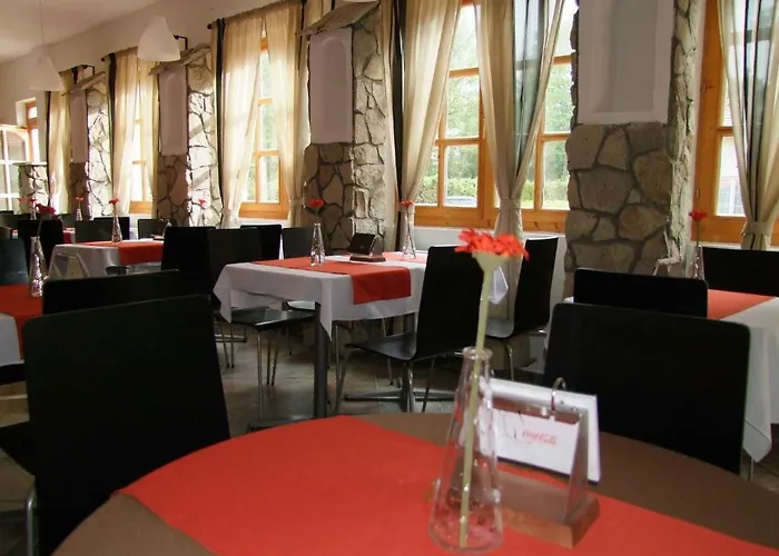 Platan Garden & - Volt Platan 2* Zamárdi